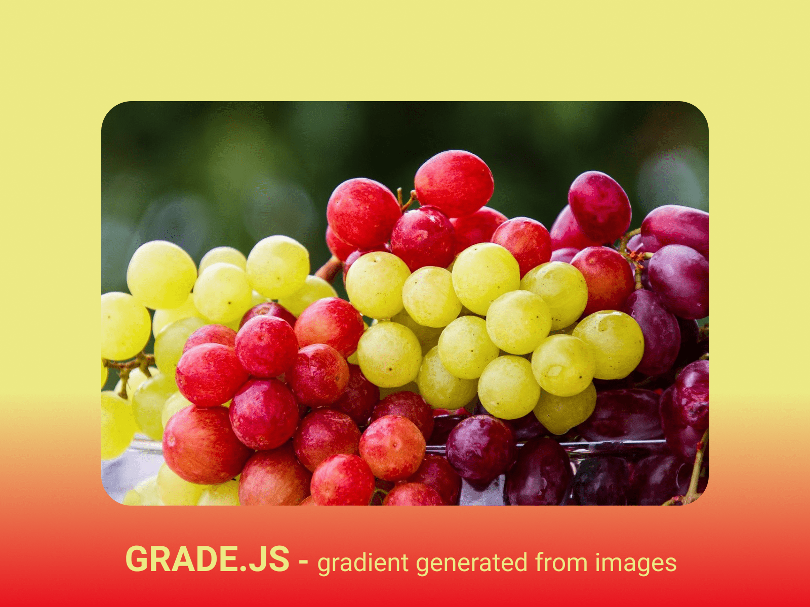 12 JavaScript Image Manipulation Libraries for Your Next Web App
