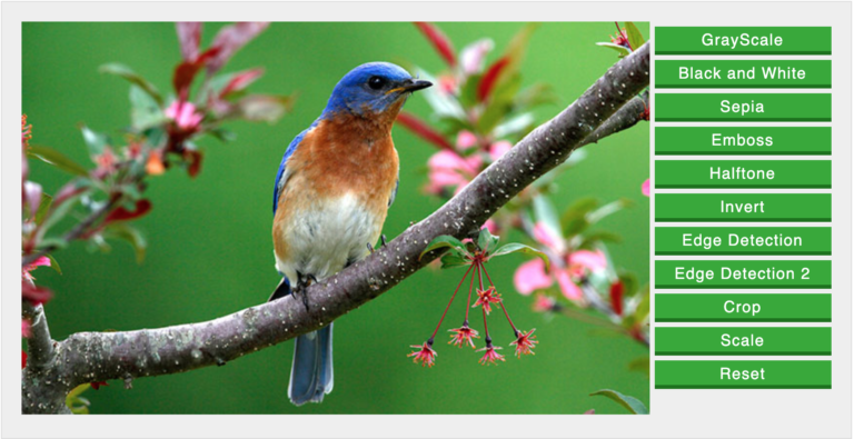 12 JavaScript Image Manipulation Libraries for Your Next Web App