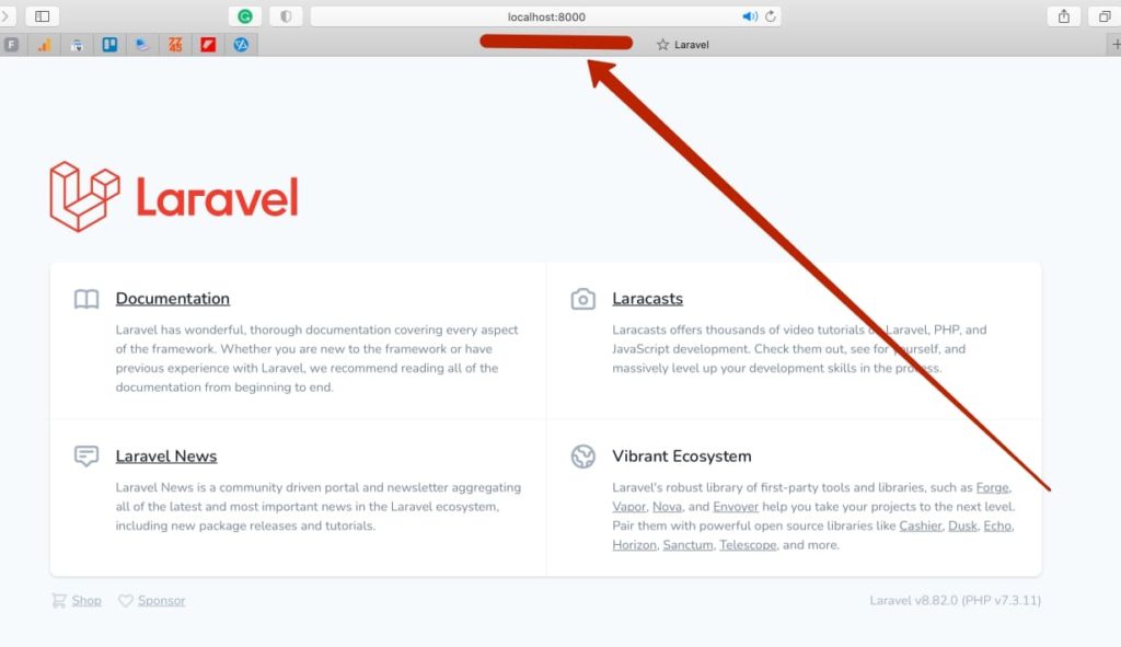 Laravel Validation: default page working project
